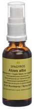 Spagyros Gemmo Abies alba Glyc Maz D 1 30 ml, Hauptbild