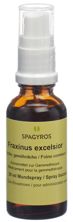 Spagyros Gemmo Fraxinus excel Glyc Maz D 1 30 ml, Hauptbild
