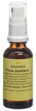 Spagyros Gemmo pinus montana mac glyc 1 D 30 ml, image principale