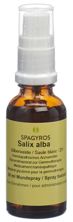 Spagyros Gemmo Salix alba Glyc Maz D 1 30 ml, Hauptbild