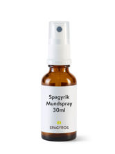 Spagyros Spagyr Aesculus hippocastanum Spr 30 ml, Hauptbild