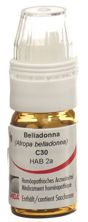 Omida belladonna glob 30 C avec doseur 4 g, image principale
