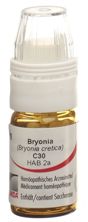 Omida bryonia glob 30 C avec doseur 4 g, image principale