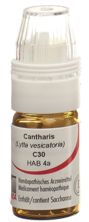 Omida Cantharis Glob C 30 m Dosierhilfe 4 g, Hauptbild