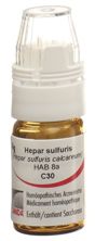 Omida Hepar sulfuris Glob C 30 Dosierhilfe 4 g, Hauptbild