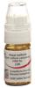 Omida Hepar sulfuris Glob C 30 Dosierhilfe 4 g, Hauptbild