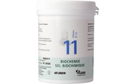 Pflüger Schüssler Nr11 Silicea Plv D 12 250 g, Hauptbild