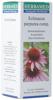 Echinacea comp gouttes 50 ml, image principale