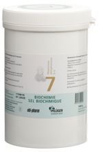 Pflüger Schüssler Nr7 Magn phos Plv D 6 1 kg, Hauptbild