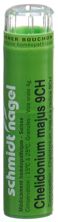 SN Chelidonium majus Gran CH 9 4 g, Hauptbild