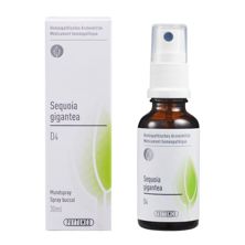 PHYTOMED GEMMO Sequoia gigantealiq 4 D spr 30 ml, image principale