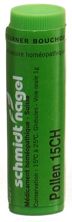 SN Pollen Glob CH 15 1 g, Hauptbild