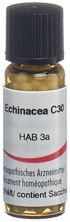 Omida echinacea glob 30 C 2 g, image principale