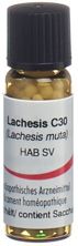 Omida lachesis glob 30 C 2 g, image principale