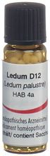 Omida ledum glob 12 D 2 g, image principale