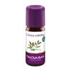 Taoasis Litsea Cubeba Äth/Öl Bio 10 ml, Hauptbild