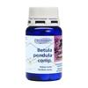 PHYTOMED Betula pendula comp Tabl 1000 Stk, Hauptbild