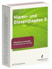 Nieren- und Blasen Dragées S 60 Stk, Hauptbild