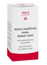 Wala Allium cepa/Tendo comp Glob Fl 20 g, Hauptbild