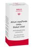 Wala Allium cepa/Tendo comp Glob Fl 20 g, Hauptbild