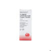 Phönix Plumbum aceticum comp spag 100 ml, Hauptbild