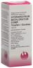 Phönix Hydrargyrum bichloratum comp spag 100 ml, Hauptbild