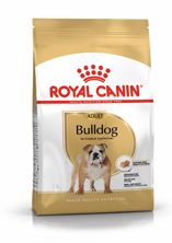 Royal Canin BHN English Bulldog 12 kg, Hauptbild