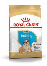 Royal Canin BHN English Bulldog Junior 3 kg, Hauptbild