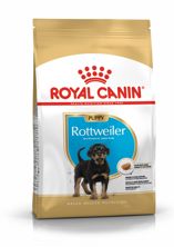 Royal Canin BHN Rottweiler Junior 12 kg, Hauptbild