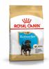 Royal Canin BHN Rottweiler Junior 12 kg, Hauptbild