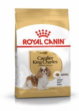 Royal Canin BHN Cavalier King Charles 1.5 kg, Hauptbild