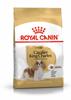Royal Canin BHN Cavalier King Charles 1.5 kg, Hauptbild