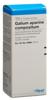 Galium aparine comp Heel Tropfen Fl 100 ml, Hauptbild
