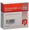 Budenofalk Uno gran 9 mg sach 20 pce, image principale