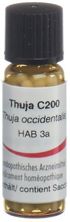 Omida thuja glob 200 C 2 g, image principale