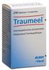 Traumeel Tabl Ds 250 Stk, Hauptbild