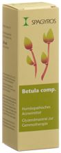 Spagyros Gemmo bouleau comp mac glyc 1 D 30 ml, image principale