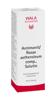Wala Antimonit/Rosae aetheroleum comp Solut 50 ml, Hauptbild