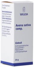 Weleda Avena sativa comp Glob 10 g, Hauptbild