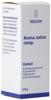 Weleda Avena sativa comp Glob 10 g, Hauptbild