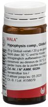 Wala Hypophysis comp Glob Fl 20 g, Hauptbild