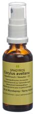 Spagyros Gemmo Corylus ave mac glyc 1 D 30 ml, image principale