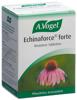 Vogel Echinaforce forte Tabl Fl 40 Stk, Hauptbild