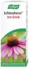 Vogel Echinaforce Hot Drink boisson chaude 100 ml, image principale