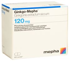 Ginkgo Mepha Filmtabl 120 mg 120 Stk, Hauptbild