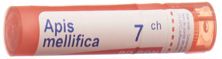 Boiron apis mellifica gran 7 CH 4 g, image principale