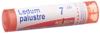 Boiron Ledum palustre Gran CH 7 4 g, Hauptbild