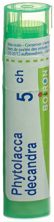 Boiron phytolacca decandra gran 5 CH 4 g, image principale
