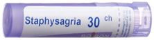 Boiron Staphysagria Gran CH 30 4 g, Hauptbild