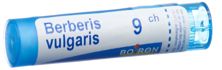 Boiron berberis vulgaris gran 9 CH 4 g, image principale